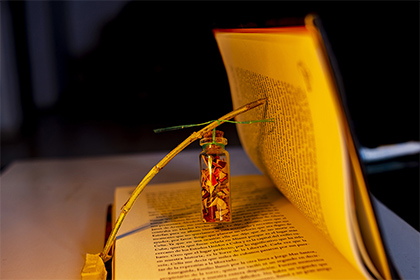 2022年农历三月生肖蛇整体运势详解，刑太岁吉凶如何？