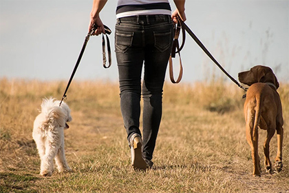 2022年属蛇犯太岁吗，婚姻容易被破坏吗？