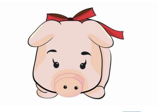 属猪和属狗的配对