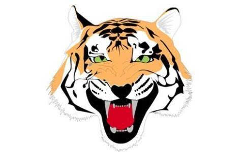 属虎的人2018年每月运势运程大全及破解