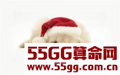 养狗相关的风水知识