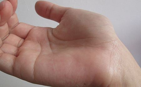 怎么样的手相是富贵命