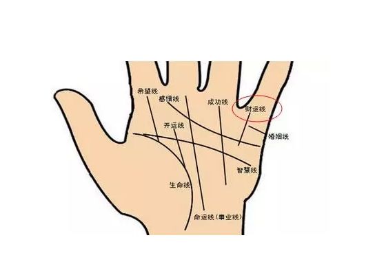 财运线位有两条好不好