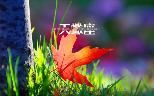 天蝎座女生如何对待感情