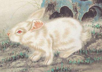 属兔和什么属相最配？该怎么做呢？