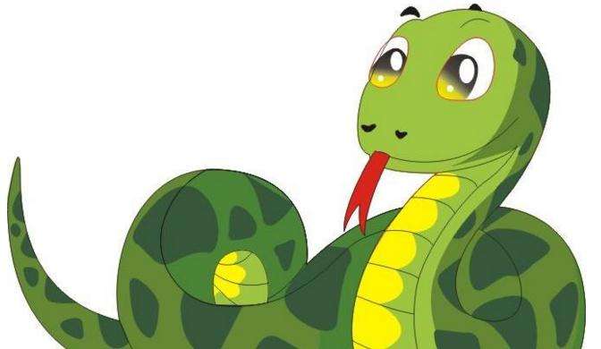 属猪和属蛇的配对