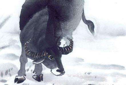 解读2009年出生孩子的健康运势好坏