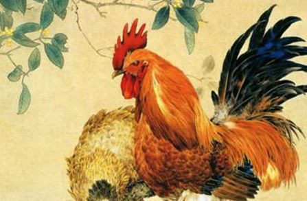 属鸡人的择偶观