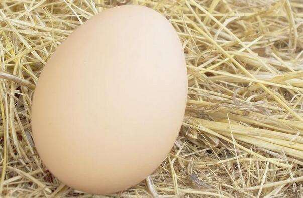 梦见很大的鸡蛋