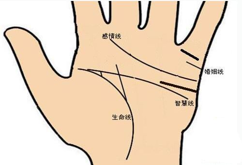 女人手相图解大全