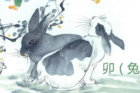 属兔人2018年运势 2018年属兔人的全年运程