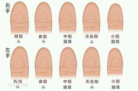 看看你的手上有几个斗、几个簸箕，能否当官发大财？