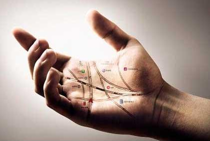 怎样看人的面相手相