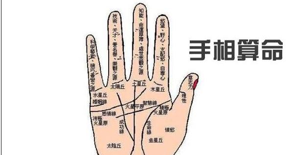 怎样看手相