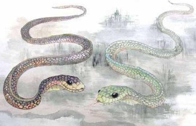 1893年属什么生肖