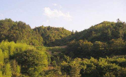 怎么看风水学阴宅的相关讲究