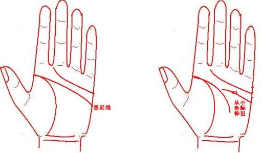 男人手纹算命图解