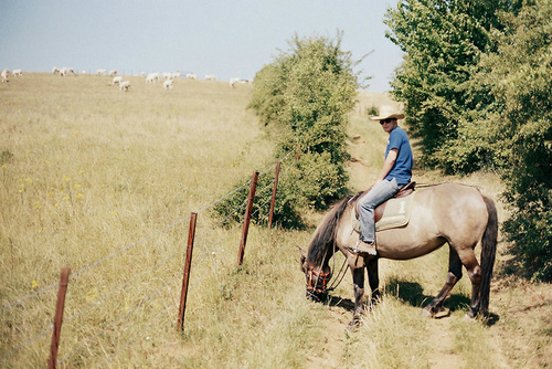玛法达2018年十二星座整体运势