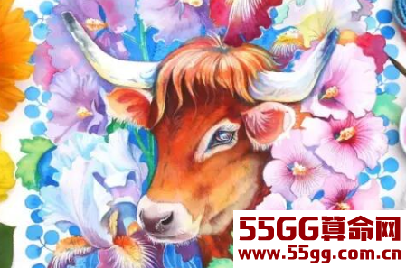 属牛2017年运势及运程 属牛人2017年每月运势