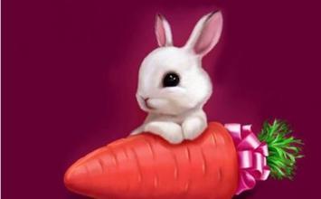 属兔人起名宜忌用字有哪些