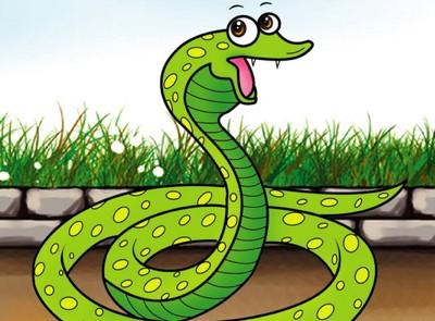 2013年属什么，2013年属相