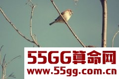 Alex白羊座2018年2月运势