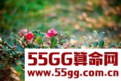 凰洛2018年2月射手座运势