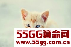 柒爸2018年2月摩羯座运势