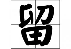 留姓的来源_留姓起源_留姓的来历