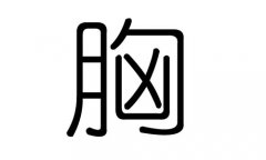胸字的五行属什么，胸字有几划，胸字的含义