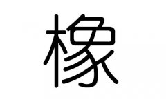 橡字的五行属什么，橡字有几划，橡字的含义