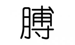 膊字的五行属什么，膊字有几划，膊字的含义