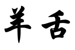 姓羊舌的名人：