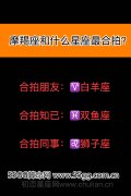 摩羯座和什么星座最合拍？