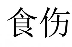 食伤是什么意思