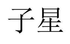 八字子星是什么意思