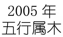 2005年五行属什么？2005年出生是什么命？