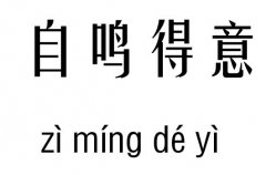 自鸣得意五行吉凶_自鸣得意成语故事