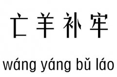 亡羊补牢五行吉凶_亡羊补牢成语故事