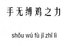 手无缚鸡之力五行吉凶_手无缚鸡之力成语故事