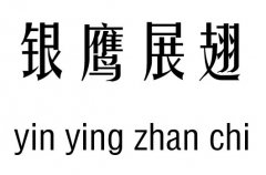 银鹰展翅五行吉凶_银鹰展翅成语故事