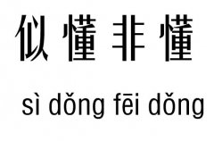 似懂非懂五行吉凶_似懂非懂成语故事