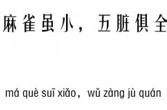 麻雀虽小，五脏俱全五行吉凶_麻雀虽小，五脏俱全成语故事
