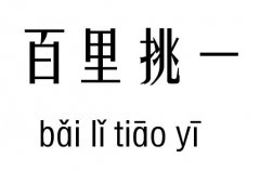 百里挑一几五行吉凶_百里挑一成语故事
