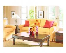 世界居室卫生日什么节？世界居室卫生日哪天？世界居室卫生日的来