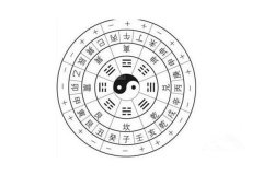 天干地支相合相冲相刑