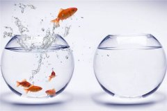 家里摆设什么东西风水好？