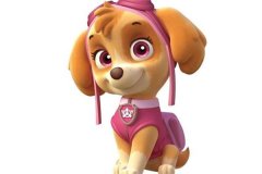 生肖狗的性格缺点有哪些