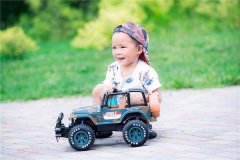 狗年生宝宝为什么好？