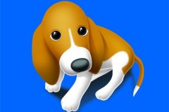 属狗的年份解析